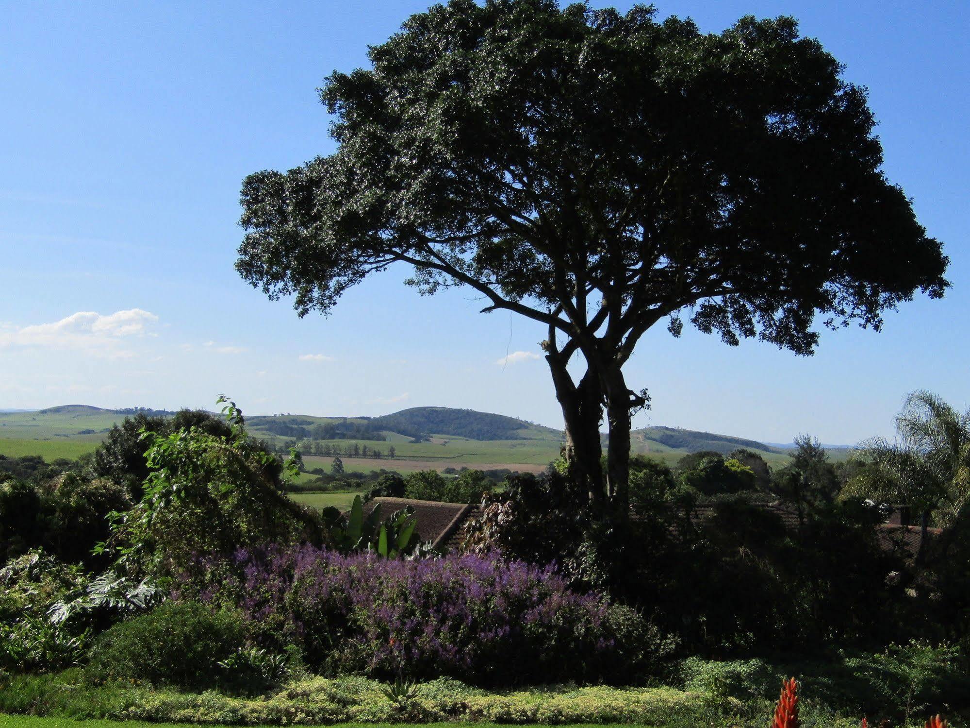 Sugar Hill Manor Otel Eshowe Dış mekan fotoğraf